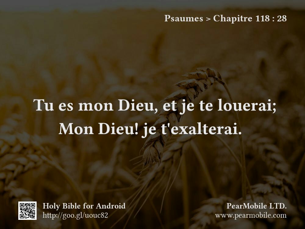Psaumes, Chapitre 118:28